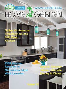 HHGN Magazine Issue 12
(February 2018)