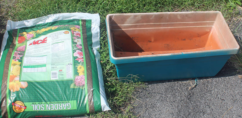 Container and soil ready for planting your own organic lettuce home garden.