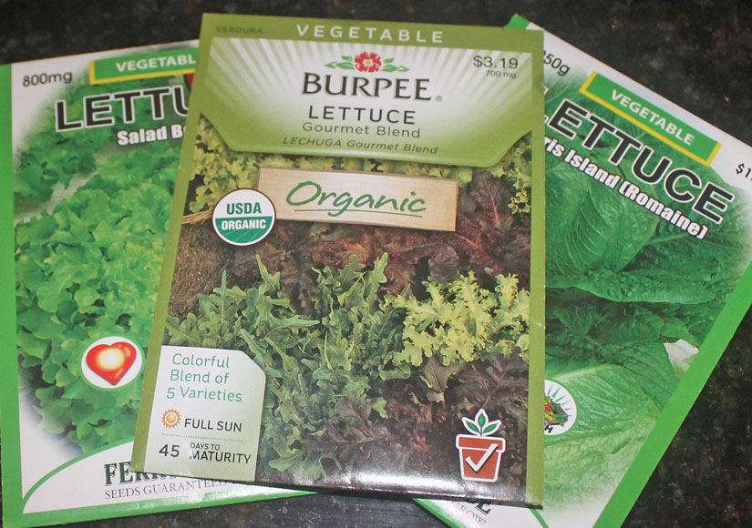 A mixture of organic seeds adds variety to your organic lettuce home garden.