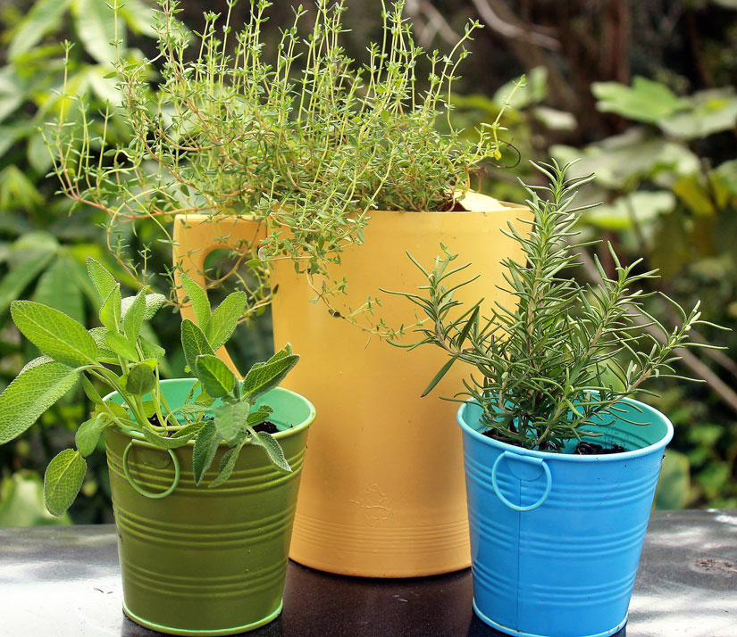 After: a little spray paint turns pots into a lovely gift presentation.