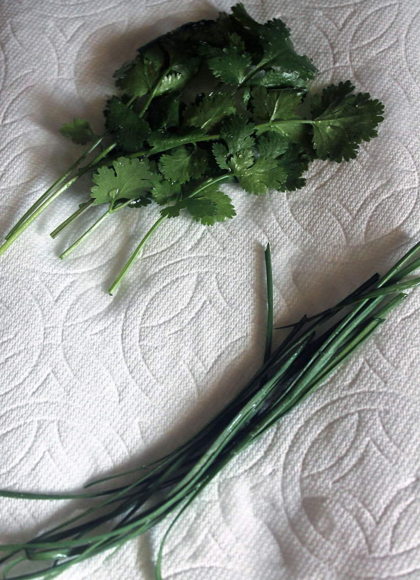 Hawaii, home, garden, landscape, home garden, container, organic, Chinese parsley, cilantro, Chinese chives, garlic chives, chives, container garden, organic produce