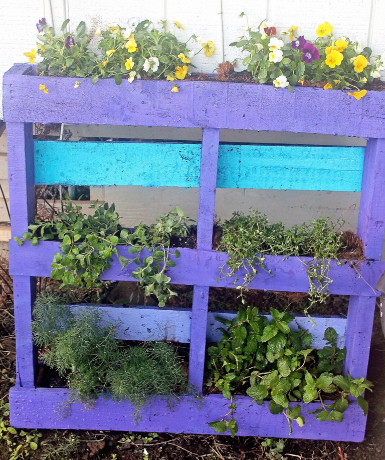 Hawaii, home, garden, landscape, home garden, container, organic, container garden, organic produce, pallet, pallet garden