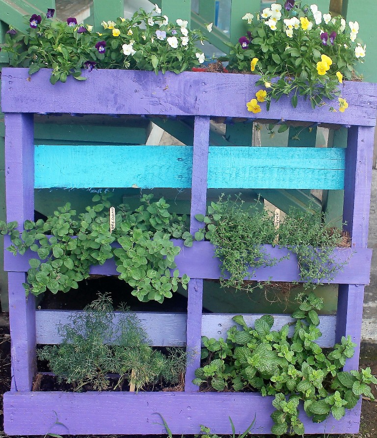 Hawaii, home, garden, landscape, home garden, container, organic, container garden, organic produce, pallet, pallet garden